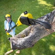 Best Pest Control for Lawns  in Casey, IL