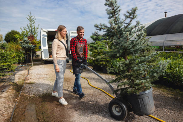 Landscape Design and Installation in Casey, IL